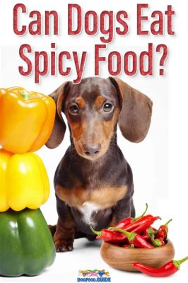 can dogs eat spicy food? The role of spices in canine diet