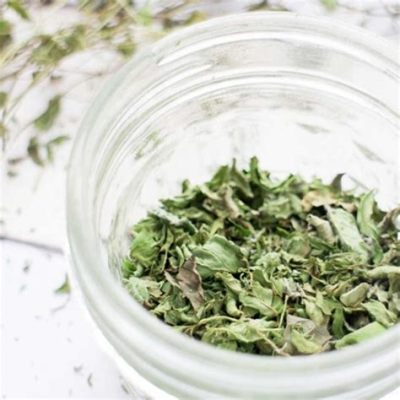 how to dry mint for tea